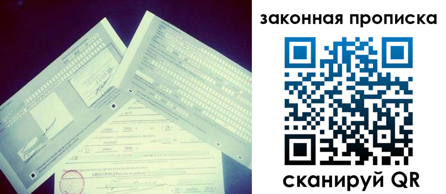 прописка поиск в Камчатской области